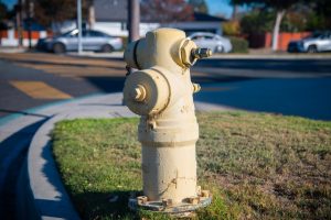 A yellow fire hydrant in Pasadena